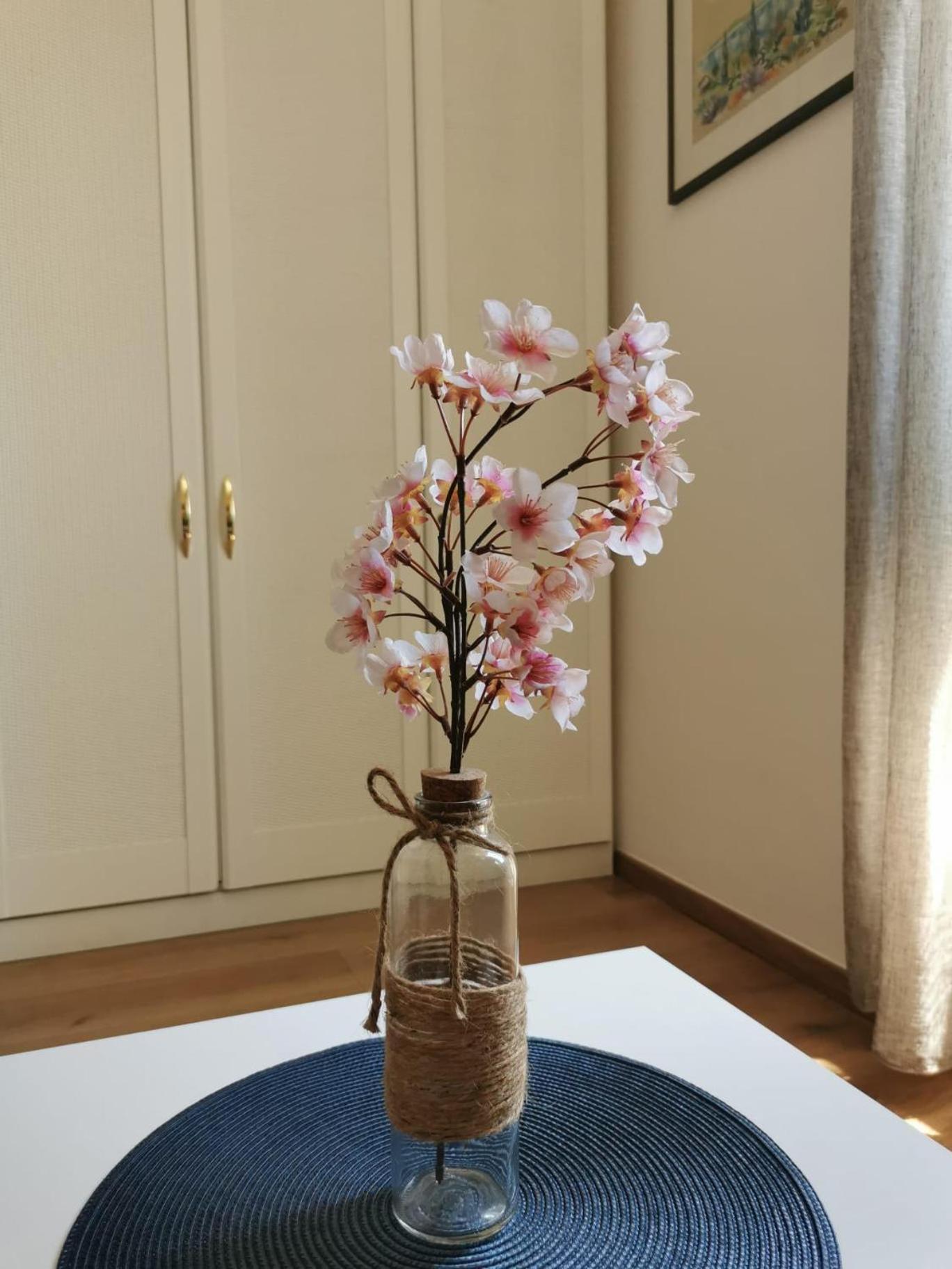 Oasis Apartment Zadar Eksteriør bilde